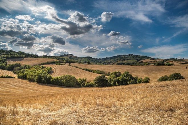 Cosa sono le indagini ambientali